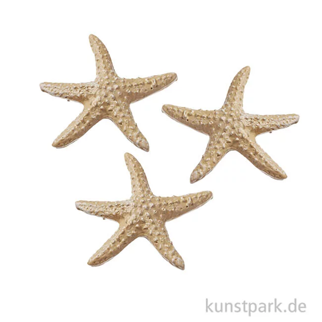 Artikelbild 1 des Artikels “Mini Seestern - Natur, 4 cm, 3 Stück “