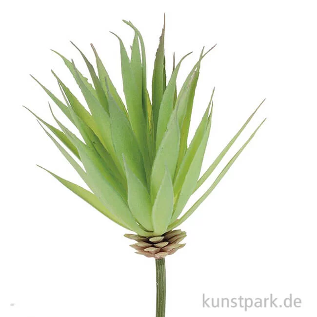 Artikelbild 1 des Artikels “Mini-Yucca 16 cm “