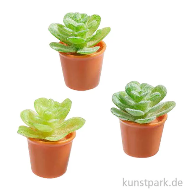 Artikelbild 1 des Artikels “Miniatur Blumentöpfe mit Sukkulenten, 2,3 cm, 3 Stück “