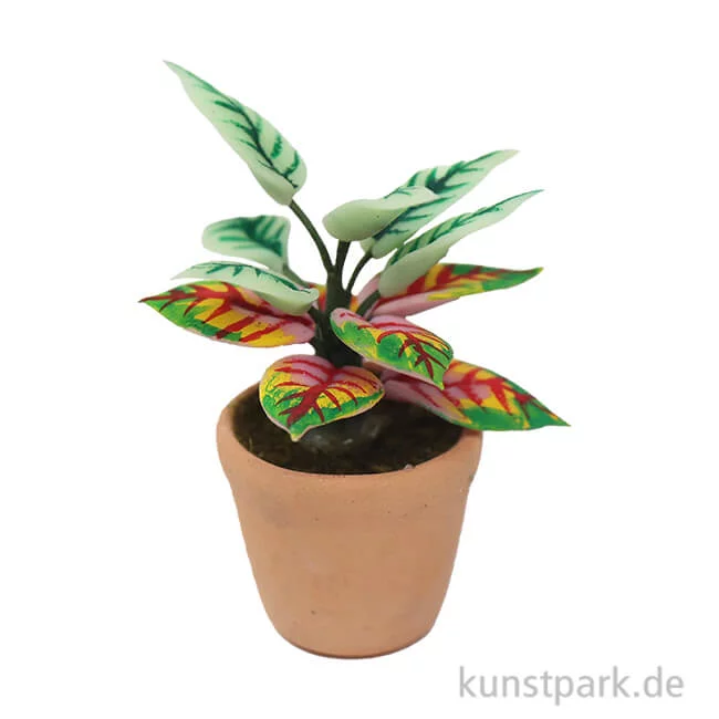 Artikelbild 1 des Artikels “Miniatur Grünpflanze im Topf, sortiert, 3 cm “