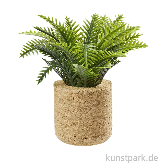 Artikelbild 1 des Artikels “Miniatur Palmenpflanze, 6,5 cm “