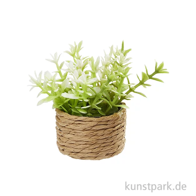 Artikelbild 1 des Artikels “Miniatur Zimmerpflanze II, 4 cm “
