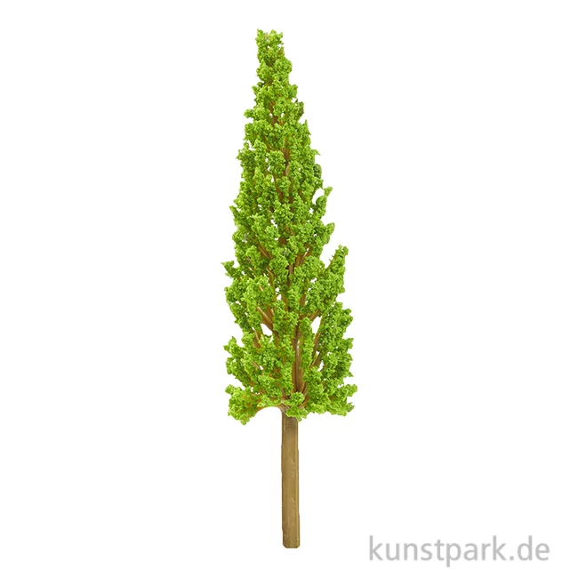 Artikelbild 1 des Artikels “Miniatur Zypresse, ca. 14 cm “