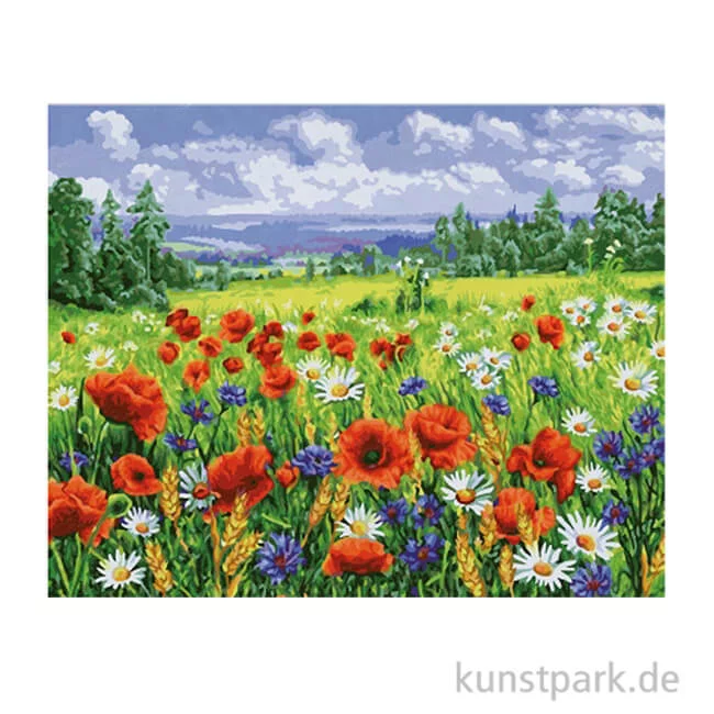 Artikelbild 1 des Artikels “Schipper Malen nach Zahlen, Blumenwiese “
