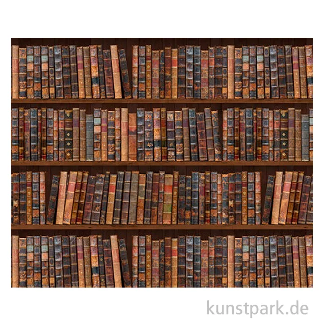 Artikelbild 1 des Artikels “Motiv-Fotokarton Bibliothek, 49,5 x 68 cm, 300g “