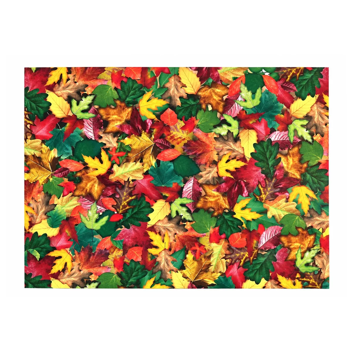 Artikelbild 1 des Artikels “Motiv-Fotokarton - Blätterwald, 300g, 49,5 x 68 cm “