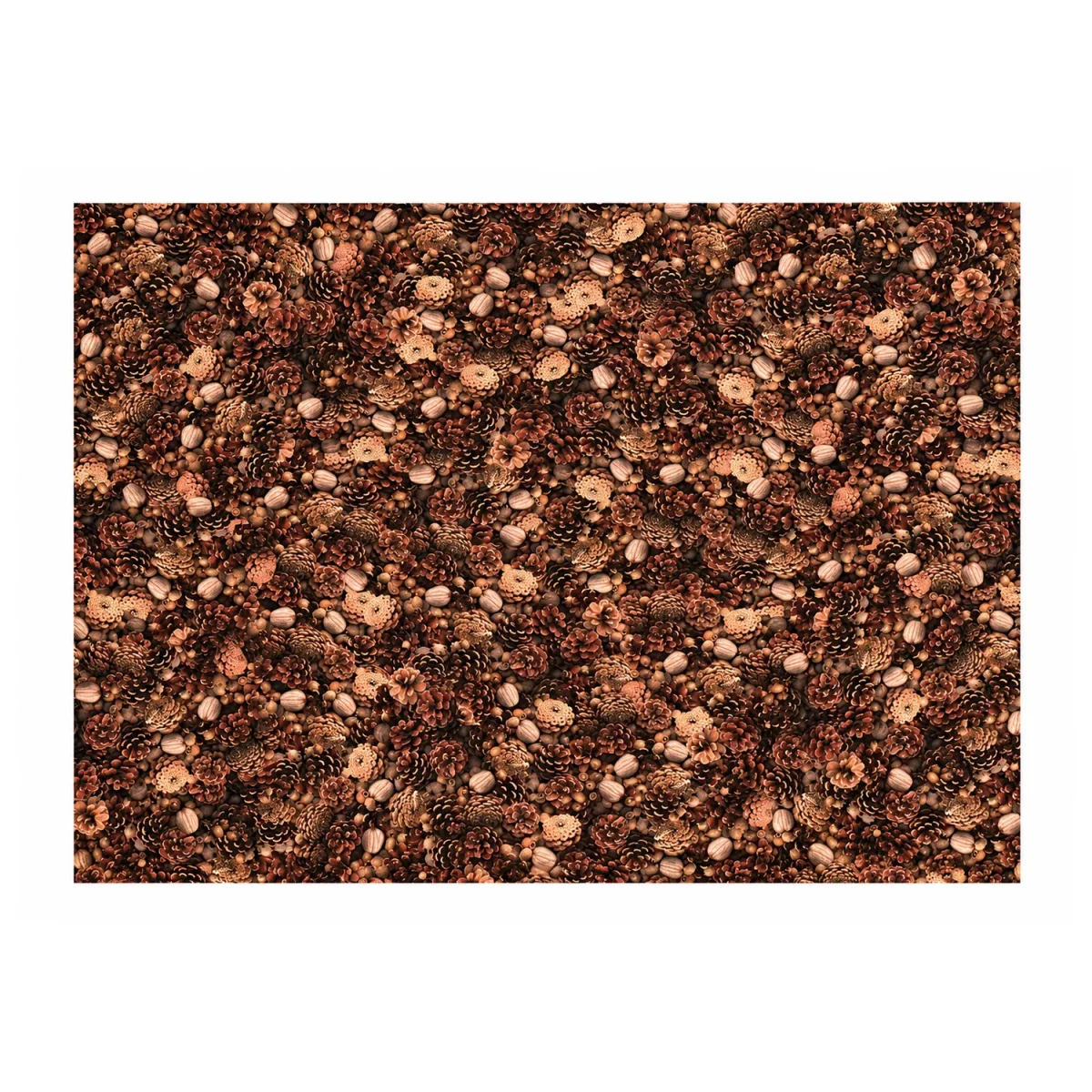 Artikelbild 1 des Artikels “Motiv-Fotokarton - Nüsse & Tannen, 300g, 49,5 x 68 cm “