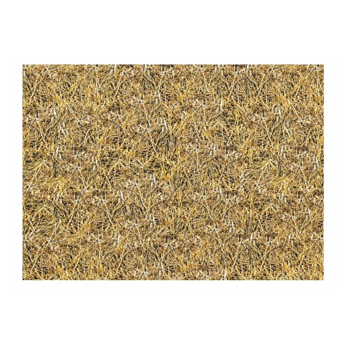 Artikelbild 1 des Artikels “Motiv-Fotokarton - Stroh, 300g, 49,5 x 68 cm “