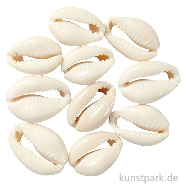 Artikelbild 1 des Artikels “Muschelperlen, Natur, 20 mm, 12 Stück “