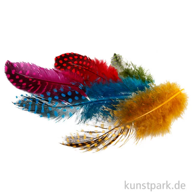 Artikelbild 1 des Artikels “Perlhuhnfedern - bunt, 100 Stück “