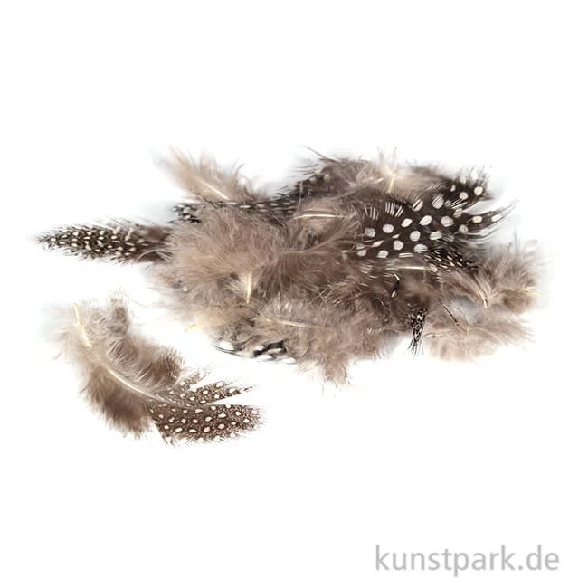 Artikelbild 1 des Artikels “Perlhuhnfedern - natur, 100 Stück “