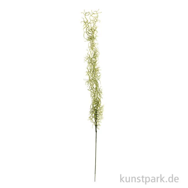 Artikelbild 1 des Artikels “Seegras-Ranke, 75 cm “