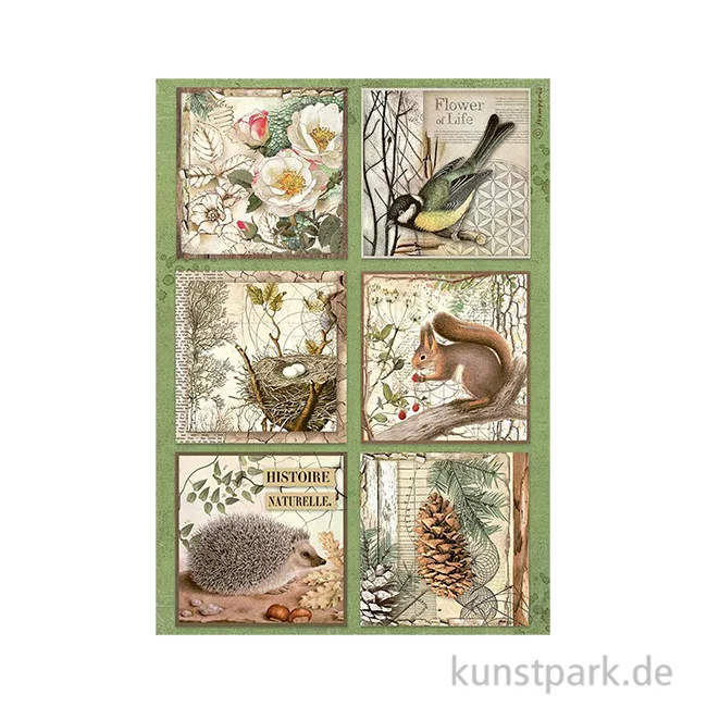 Artikelbild 1 des Artikels “Stamperia Reispapier - Forest 6 Cards, DIN A4 “