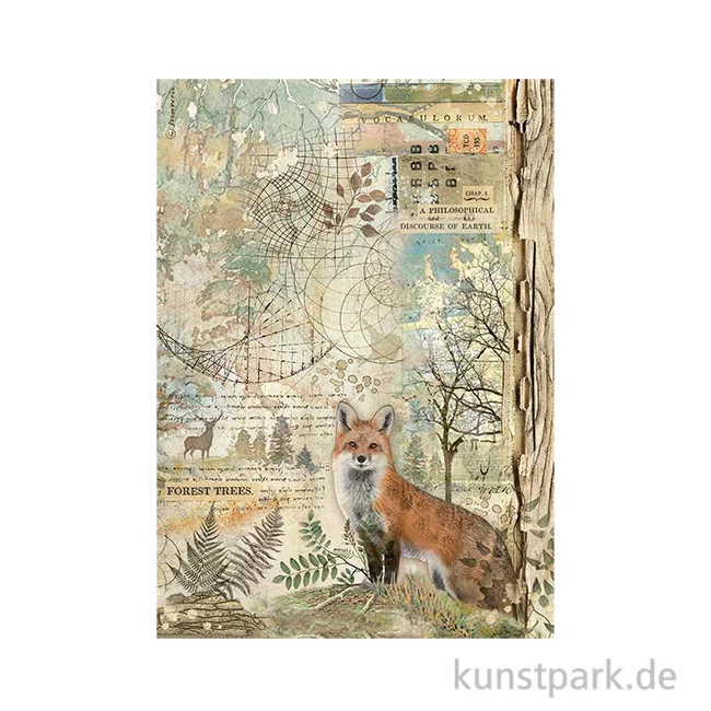 Artikelbild 1 des Artikels “Stamperia Reispapier - Forest Fox, DIN A4 “