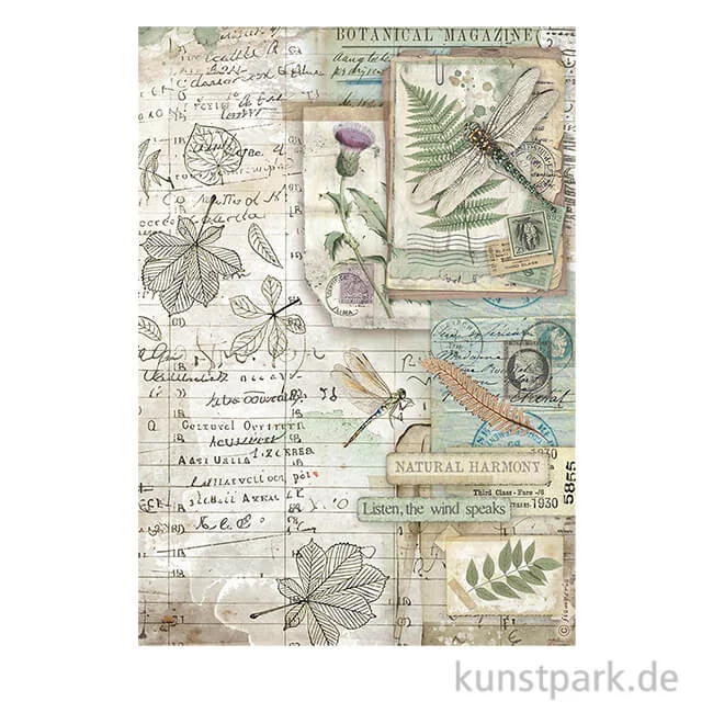 Artikelbild 1 des Artikels “Stamperia Reispapier - Herbarium Silvae Botanic, DIN A4 “