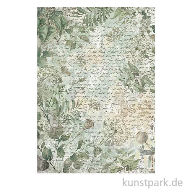 Artikelbild 1 des Artikels “Stamperia Reispapier - Herbarium Silvae Leaves Background, DIN A4 “