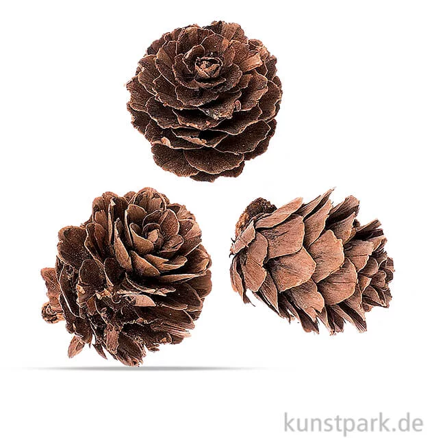 Artikelbild 1 des Artikels “Tannezapfen 2 - 3 cm, 60g “