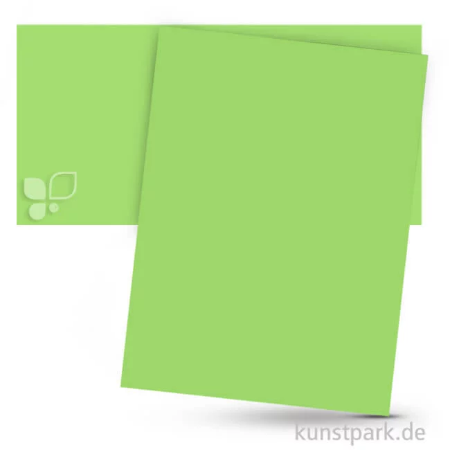 Artikelbild 1 des Artikels “Fotokarton 50x70 cm, 10 Bogen, 300g Farbe | Hellgrün“