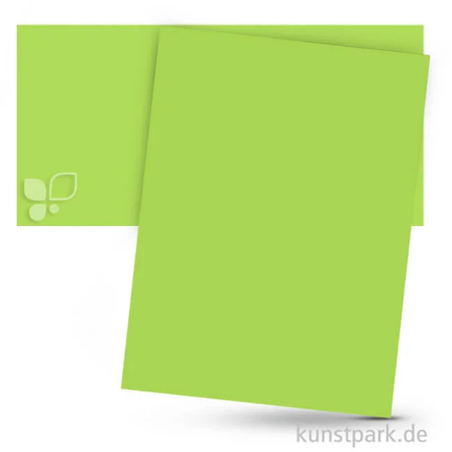 Artikelbild 1 des Artikels “Fotokarton 50x70 cm, 10 Bogen, 300g Farbe | Maigrün“
