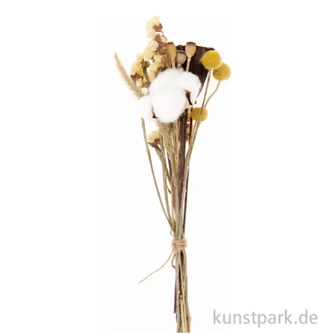 Artikelbild 1 des Artikels “Trockenblumen Set Natur Gelb “