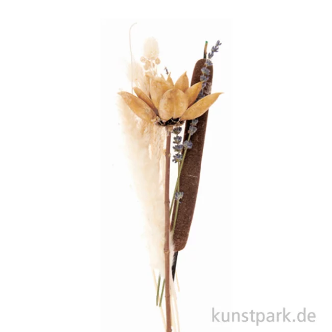 Artikelbild 1 des Artikels “Trockenblumen Set Natur Orange “