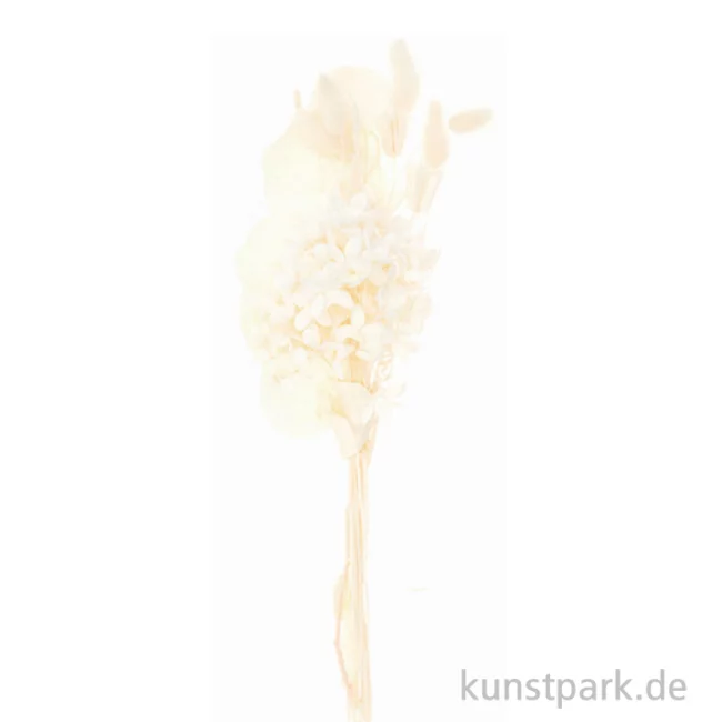 Artikelbild 1 des Artikels “Trockenblumen Set Natur Weiß “