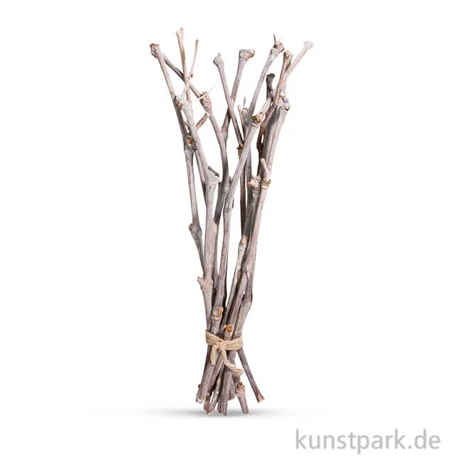 Artikelbild 1 des Artikels “Weinreben 40 cm, 12 Stück “