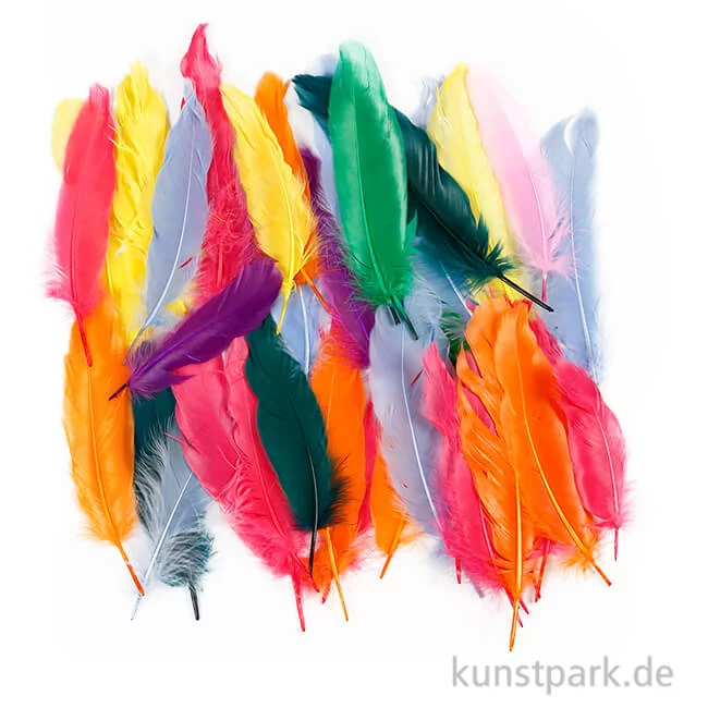 Artikelbild 1 des Artikels “XXL Set - Federn zum Basteln, Bunt, 12-15 cm, 350 Stück “