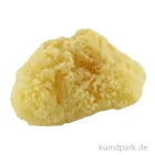 Artikelbild 1 des Artikels “Aquarellschwamm grob 16,6 cm “