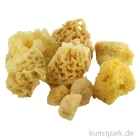Artikelbild 1 des Artikels “Aquarellschwamm Set 2 - verschiedene Formen und Größen “