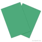 Artikelbild 1 des Artikels “Tonkarton COLORS, 20 Blatt, 180g, DIN A4 DIN A4 | Grasgrün“