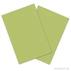 Artikelbild 1 des Artikels “Tonkarton COLORS, 20 Blatt, 180g, DIN A4 DIN A4 | Lindgrün“