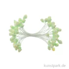 Artikelbild 1 des Artikels “Blütenstempel Mini - 144 Stück, Hellgrün “