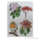 Artikelbild 1 des Artikels “CraftEmotions Clear Stamps - Weihnachtsstern, DIN A6 “