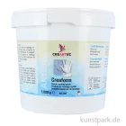 Artikelbild 1 des Artikels “Creaform Schnellabformmasse 1 kg“