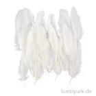 Artikelbild 1 des Artikels “Deko Federn, Weiß, Größe 10 - 18 cm, 70 Stück “