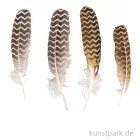 Artikelbild 1 des Artikels “Dekofeder mit Glitterdruck, 17 - 19 cm, 4 Stück “