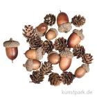 Artikelbild 1 des Artikels “Eichel-Zapfen Mix, sortiert, 2-4 cm, 27 Stück “