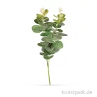 Artikelbild 1 des Artikels “Eukalyptuszweig, 34 cm “