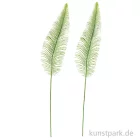 Artikelbild 1 des Artikels “Farn - Groß, 2 Stück “