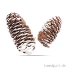 Artikelbild 1 des Artikels “Fichtenzapfen 6 - 8 cm, 50g “