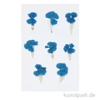 Artikelbild 1 des Artikels “Gepresste Blüten - Chinesische Nelke Blau, 6 Stück “