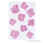 Artikelbild 1 des Artikels “Gepresste Blüten - Hortensie Pink, 9 Stück “