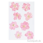 Artikelbild 1 des Artikels “Gepresste Blüten - Rittersporn Rosa, 8 Stück “