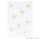 Artikelbild 1 des Artikels “Gepresste Blüten - Rittersporn Weiß, 8 Stück “