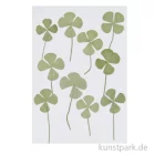 Artikelbild 1 des Artikels “Gepresste Pflanzen - Vierblättriges Kleeblatt, 10 Stück “