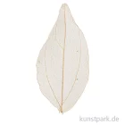 Artikelbild 1 des Artikels “Getrocknete Laubblätter - Natur, Länge etwa 6-8 cm, 20 Stück “