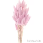 Artikelbild 1 des Artikels “Getrockneter Lagurus, 50 Stück Bund | Flieder“