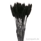 Artikelbild 1 des Artikels “Getrockneter Lagurus, 50 Stück Bund | Schwarz“