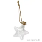 Artikelbild 1 des Artikels “Glasfläschchen zum Hängen - Stern, 6,5 x 6 x 2 cm “